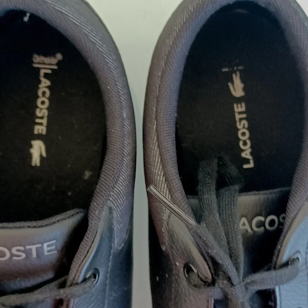 Lacoste minzah 319